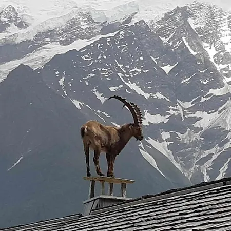 Mon Chalet A *